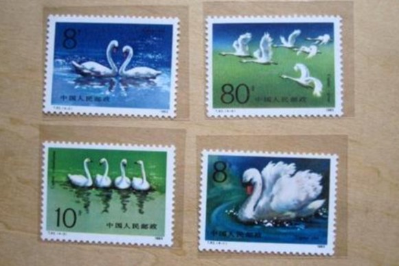 T83天鹅邮票 T83天鹅特种邮票介绍