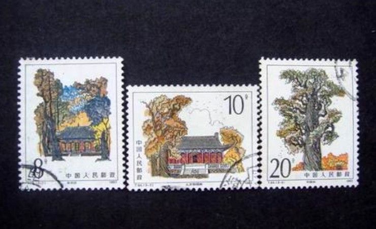 T84黄帝陵邮票价格 大版票价格及图片